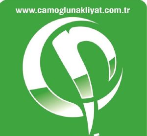 Uluslararası taşımacılık